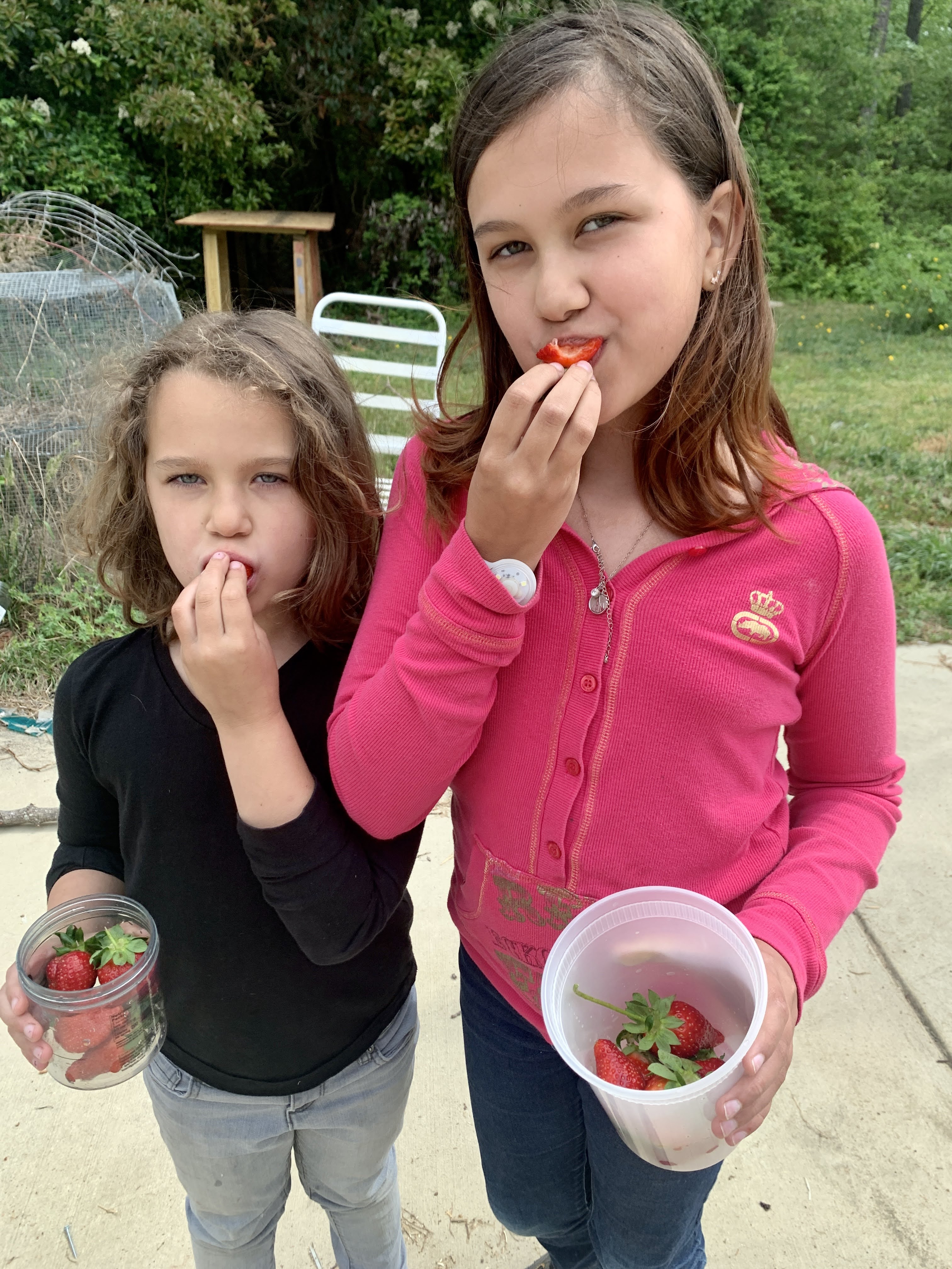 berries and 16